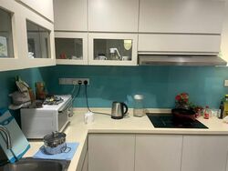Astoria Park (D14), Condominium #536240691